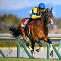 【先週のJRA抹消馬】重賞3勝を挙げたプログノーシス、23年ユニコーンSの2着馬サンライズジークなど