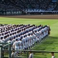 昨夏V京都国際 昨春Vの健大高と