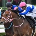 【レパードS】川田将雅騎手が今年こそ初制覇なるか 連勝中のロードラビリンスで参戦