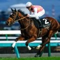 CBC賞 ジューンブレアが予想1番人気