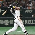 阿部監督 キャベッジに「面白いな」