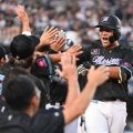 ロッテが２連勝　昇格即スタメンの山口が１号３ラン＆適時打で４打点　種市は８回途中３失点で４勝目、益田は通算２４８セーブ