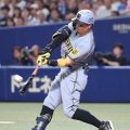 【阪神】佐藤輝明28号逆転３ラン「最高の結果になってよかった」今季唯一負け越しの中日に完勝