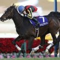 ホープフルS覇者によるダート重賞制覇 タイムフライヤーが制した20年エルムS