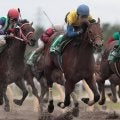 ディープインパクト産駒初のダート重賞勝利 ボレアスのレパードS