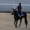 シュヴァリエローズ、札幌記念1週前追い切り速報/栗東トレセンニュース