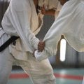 男子柔道部員２人が大麻使用疑いで逮捕の国士舘大が謝罪「心よりお詫び」　吉永慎也監督、部長を７月１６日で解任報告
