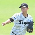 阪神 畠と石黒がシート打撃に登板