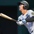 阪神・百崎は下顎骨骨折　整復固定手術が無事に終了