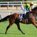 【CBC賞】藤懸貴志騎手が4年ぶりの重賞2勝目へ ベガリスで一発狙う