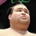 高安が大相撲夏巡業を休場