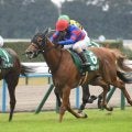 【CBC賞展望】好走条件揃うカルチャーデイが重賞2勝目を狙う