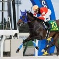 水沼元輝＆小林美駒が初戦勝利…2025ヤングジョッキーズシリーズ・トライアル門別ラウンド開幕
