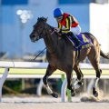 【レパードS出走馬・騎手確定】ジャナドリア＆戸崎圭太騎手、ヴィンセンシオ＆C.ルメール騎手など15頭