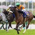半姉は桜花賞馬のステレンボッシュ 3歳のフランシュフックがダートで初陣だ