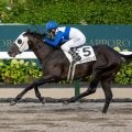 【エルムS出走馬・騎手確定】ロードクロンヌ＆藤岡佑介騎手、ドゥラエレーデ＆松山弘平騎手など14頭