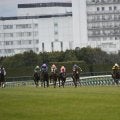 “おじ”と“おい”がデビュー戦で対決 マイコンチェルトvsヒリュウに注目