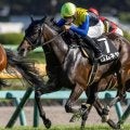 【三面川特別】半妹はリバティアイランド ロムネヤが待望の3勝目なるか