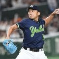 ヤクルト・石川が２４年連続安打　巨人・田中将大から打ち返す　記念球が三塁ベンチへ