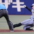 【阪神】21年ドラフト組のアベック初本塁打まで数十センチ…豊田寛の打球はフェンス最上部へ