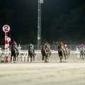 【門別・サッポロクラシックC結果】ゴッドバロックが重賞初制覇