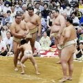 豊昇龍「いつも通りに戻したい」夏巡業に合流　本場所途中休場続くも秋場所へ闘志「ケガのない体を作る」