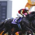 【仏ジャックルマロワ賞】アスコリピチェーノが現地到着…ゴートゥファーストも好感触の追い切り