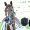 ペルーサが5年3カ月8日ぶりに勝利した札幌日経OPからちょうど10年