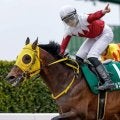 【エルムS枠順確定】ヴァルツァーシャルは6枠9番、ドゥラエレーデは3枠3番