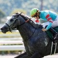 【CBC賞枠順確定】ヤマニンアルリフラは7枠14番、ジューンブレアは5枠9番