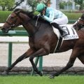 【厚岸特別】全姉は三冠牝馬デアリングタクト デアリングエアが松山騎手と再コンビで2勝目なるか