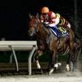 【盛岡・クラスターC枠順】短距離重賞2勝のチカッパは4枠6番、GI馬ダノンスコーピオンは6枠9番