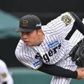 阪神・椎葉が１軍に合流　降格後はウエスタンで９試合に登板し防御率１・８０