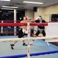 井上尚弥、プロ初の帝拳ジム出稽古を打ち上げ「初心に戻るいい機会でした」　５Ｒスパーの増田陸も感謝「底なしの強さ」