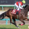 半姉は名牝ディアドラ 3歳のザンクトガレンが待望のデビュー戦だ