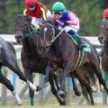 CBC賞は雨中の戦いか!? メイショウソラフネが高配提供だ