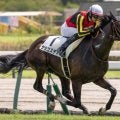 中京芝は母の父ディープインパクトが特注 サラコスティが狙い目だ
