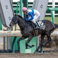 【今日の注目ポイント】札幌でエルムS 武豊騎手が4600勝にリーチ