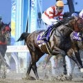 【盛岡・クラスターカップ】夏のダート短距離決戦…武豊チカッパらが激突