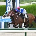 【今日の注目ポイント】新潟でレパードSと中京でCBC賞