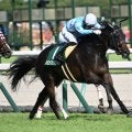 【CBC賞予想】サマースプリントシリーズ第4戦 難解な夏場のハンデ戦
