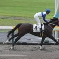 【レパードS予想】出世レースとして名高い一戦 3歳ダートの登竜門を制すのは