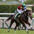 【競馬予想】CBC賞は100万馬券が狙える穴党垂涎の一戦　夏に強い伏兵２頭の大駆けに要注意