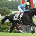 【中京4R新馬戦結果】リオンディーズ産駒アストロレガシーが好位抜け出しV