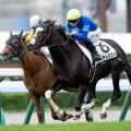 【札幌5R新馬戦結果】タリスマニック産駒ドルチェミストが初陣飾る