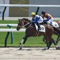 【レパードS・馬体重】ロードラビリンスは484kg(-4)、ヴィンセンシオは514kg(+8)