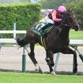【JRA・WIN5】本日のWIN5は的中285票、配当162万9640円