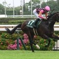 【CBC賞結果】インビンシブルパパが逃げ切り重賞初V 佐々木大輔騎手は2日連続の重賞勝利