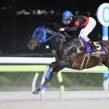 【TCK】ディクテオン、韓国G3コリアカップ招待受諾