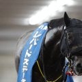 【レパードS】松山「力を証明出来てホッとしている」ドンインザムードが重賞初制覇
